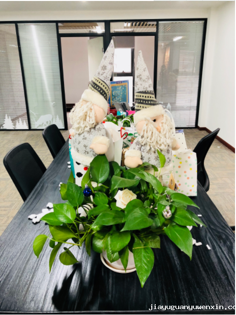 1573175679125136.png image.png